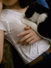 267484a3653fd688de9a6ed0c97b3793_1426814053_6843.gif