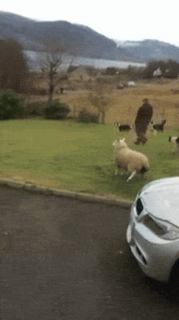 be35528a245cf31dba5b174f6140e2dc_1426809102_3463.gif