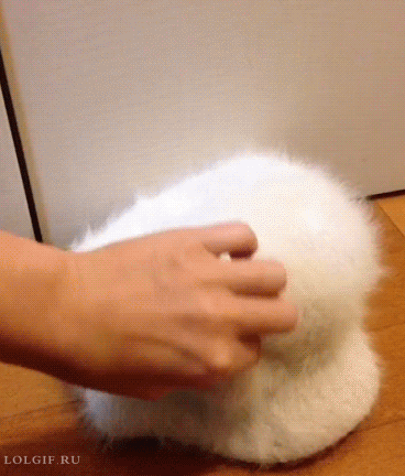 d28ca48750d15f194b08c57fd68c37ff_1426480347_0637.gif