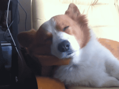 e2ffede5902b95b9eddbaf26ae4ea235_1427334480_3302.gif