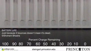 8a6a70e1e44d4877506f70bd3928dc14_1430374457_0964.gif