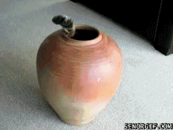 e848044d9a5be8363978fe71d0c36302_1428020526_1497.gif