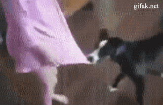 a96814f210880d6ab4e35290f586eb05_1434001184_5239.gif