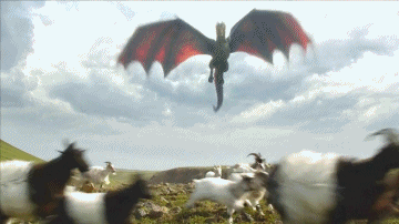 cd830a2e5329e54f1120c9307777c251_1434511071_7604.gif