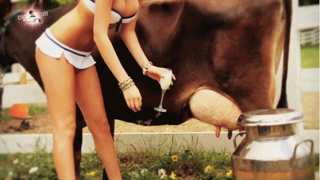 efaca18d87a6f97ae4d7586390a2c8e4_1434335261_4864.gif