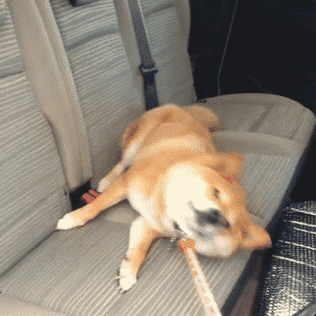 250faf3f94f441e6021bb48cc9a97543_1441861208_539.gif
