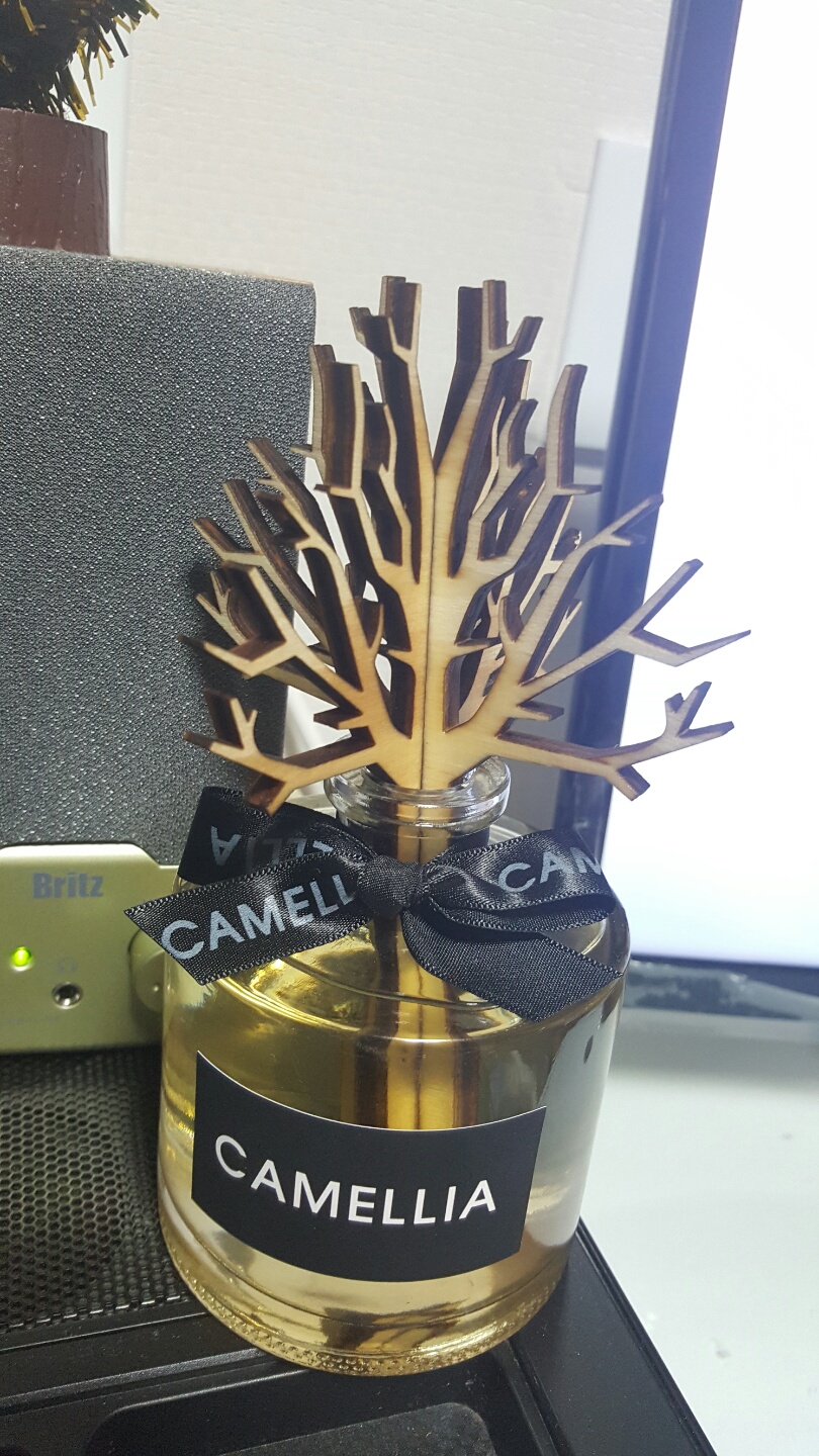 KakaoTalk_20160122_153432698.jpg