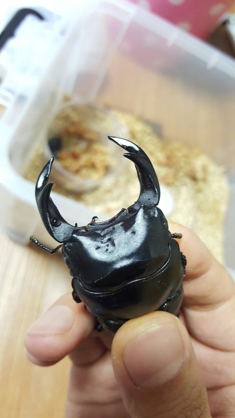 KakaoTalk_20160125_221349017.jpg