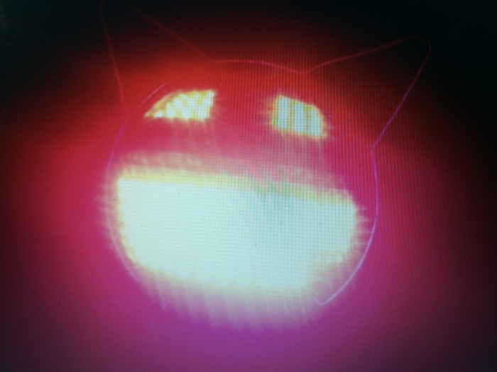 IMG229.jpg