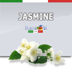 jasmine.jpg