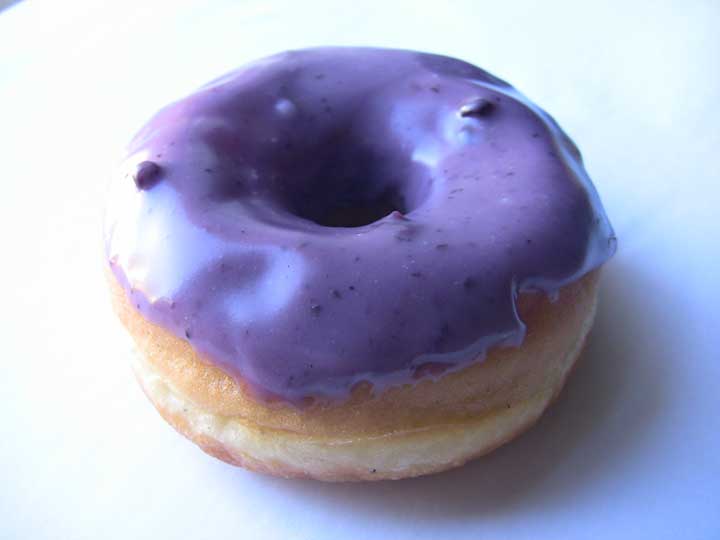 Donut Fest 2016 Dun-Well pss_blueberry.jpg