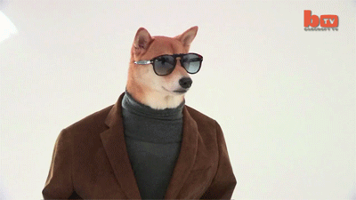 6e9dc1ae80d5cadff916d8331fa35640_1467782855_422.gif