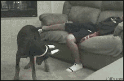 dbb64ceea62d3bb8450e96653021b698_1468645447_9163.gif
