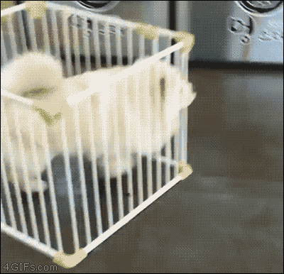 0c669d2d96d8410b0b77ae3a1d5c8a66_1471142701_632.gif