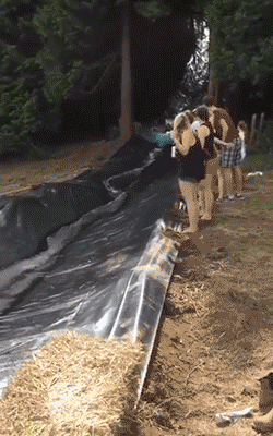 aacbe0038267fcc9b355f3e8c6c94d56_1470888576_1993.gif