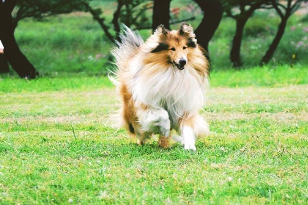 98503c29fdfb4646dd92747db2617f5b_1505200384_847.jpg 98503c29fdfb4646dd92747db2617f5b_1505200384_847.jpg