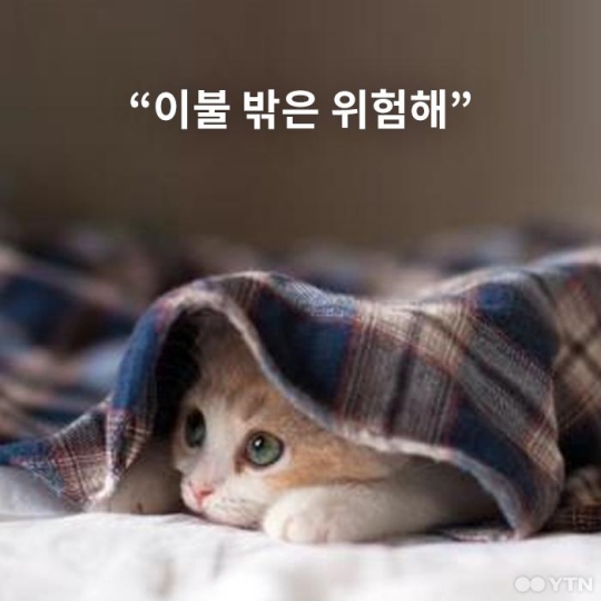 1690dfe8ca47da56ba30bb00febea2c0_1515035704_762.jpg