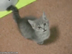 580d74699d7f3c07ee1d9bba4c5ad9c8_1432718696_4167.gif