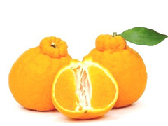 hanlemong.jpg