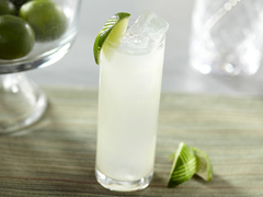 ginrickey.jpg