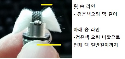 솜.jpg