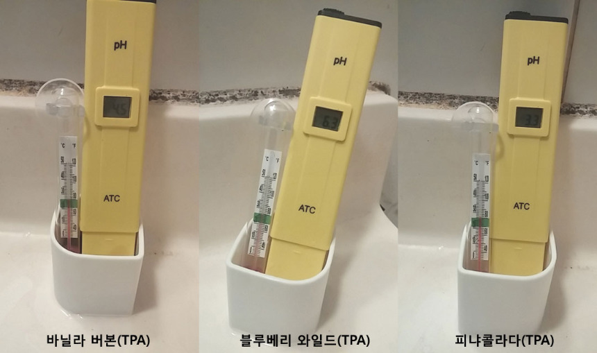 바닐라블루피냐.jpg