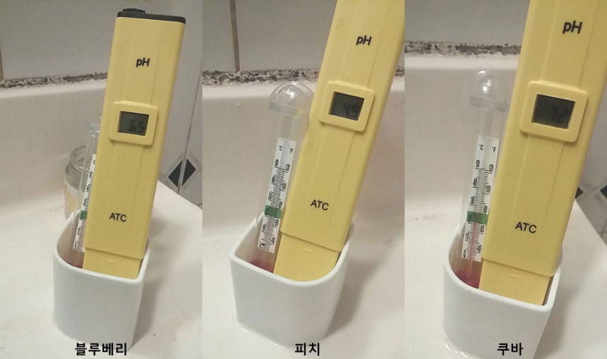 블루피치쿠바.jpg