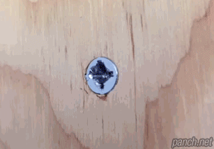 8aa89d91534c333b40e459ca34de6f68_1465706045_1332.gif