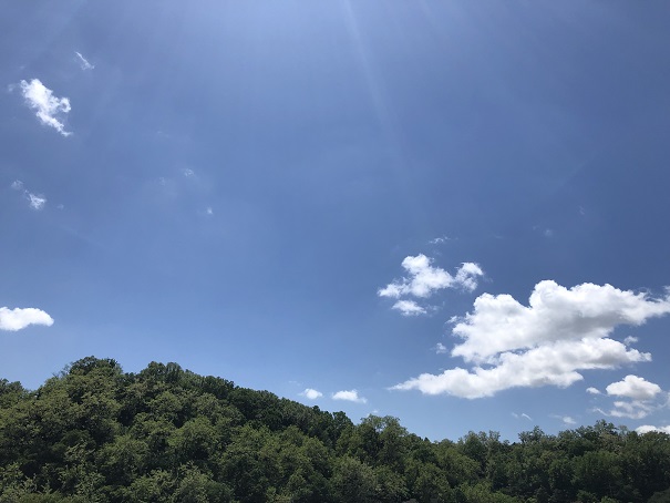 e8d68d6a6f5cd373e8b5de776a032e7e_1558618969_8533.jpeg